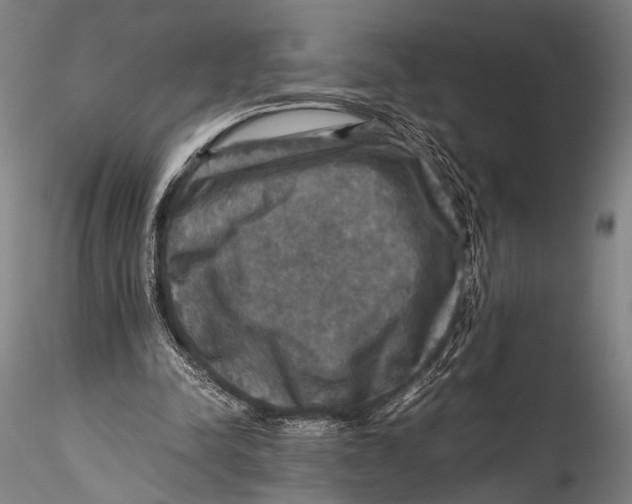 X0000115310342200911301540