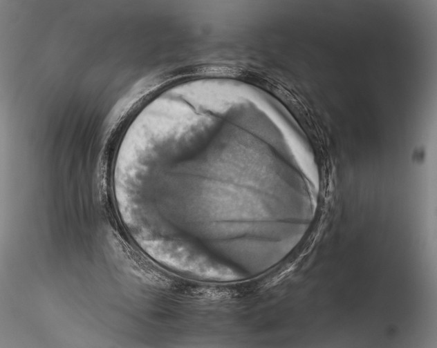 X0000115310343200911301540