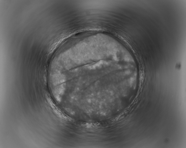 X0000115310345200911301540