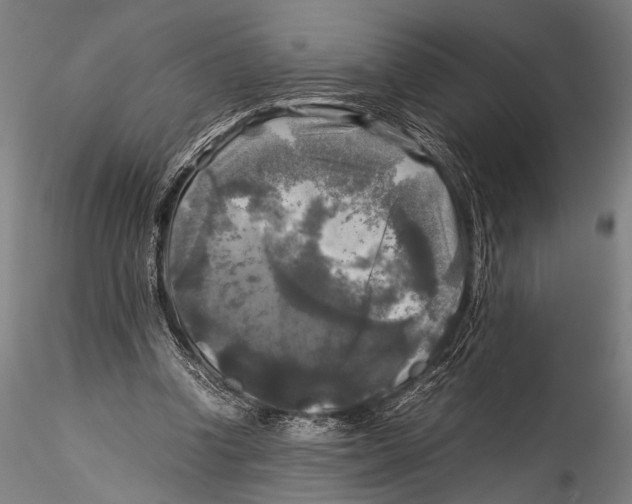 X0000115310346200911301540