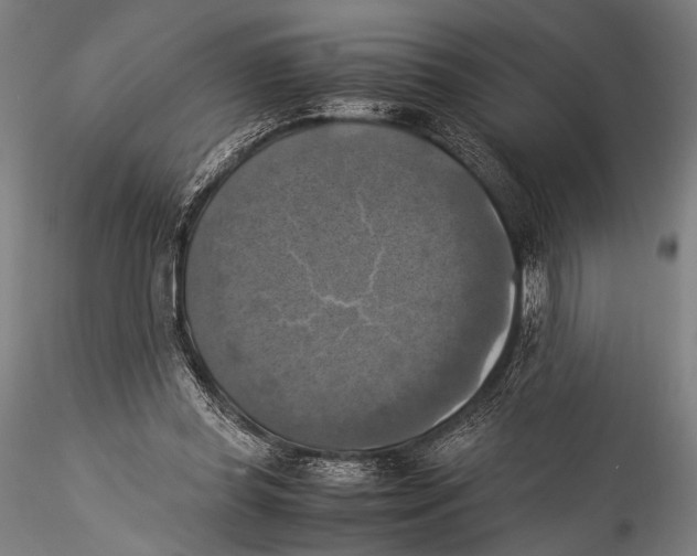 X0000115310349200911301541