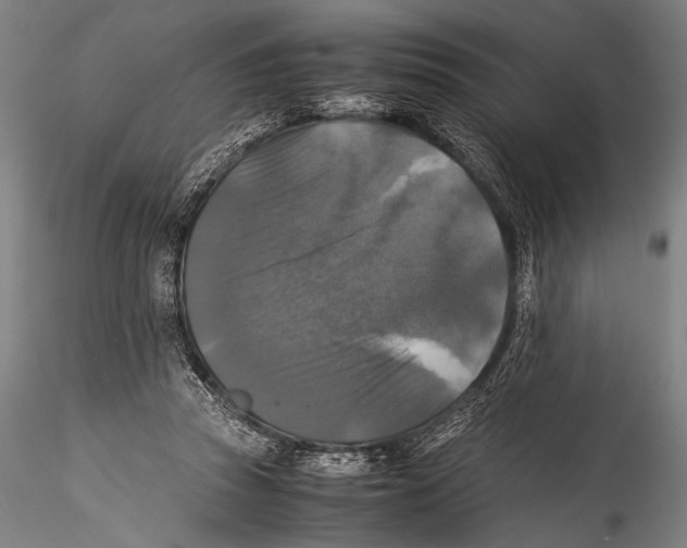 X0000115310353200911301541