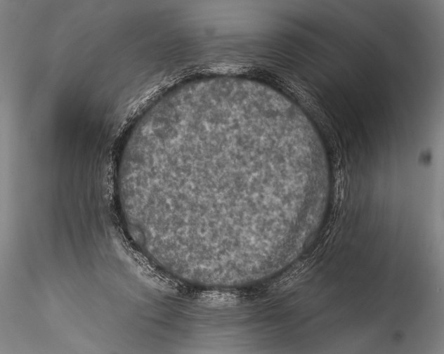 X0000115310354200911301541