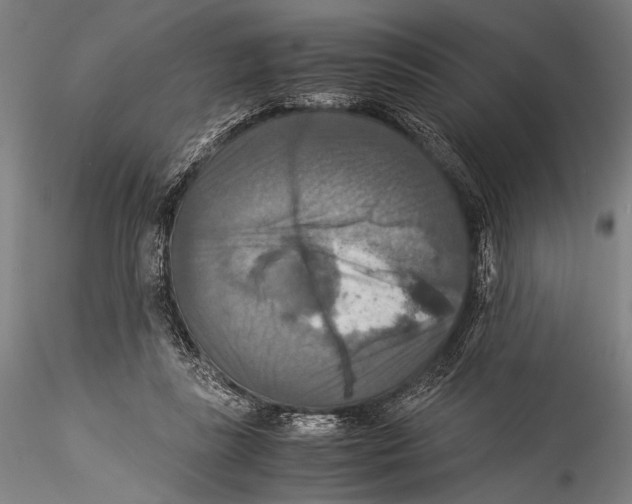 X0000115310355200911301541