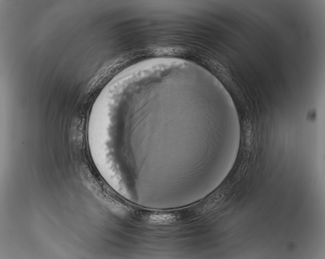 X0000115310357200911301541