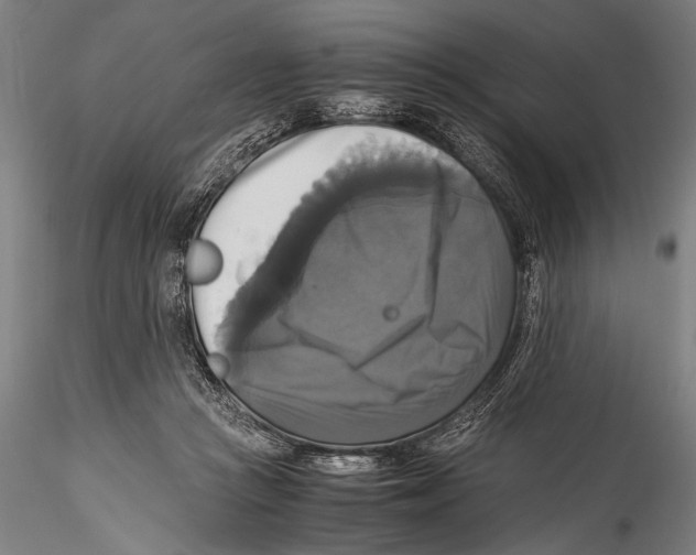 X0000115310361200911301541