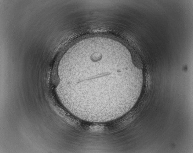 X0000115310362200911301541