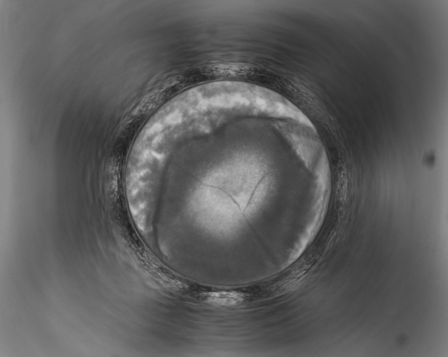 X0000115310363200911301541