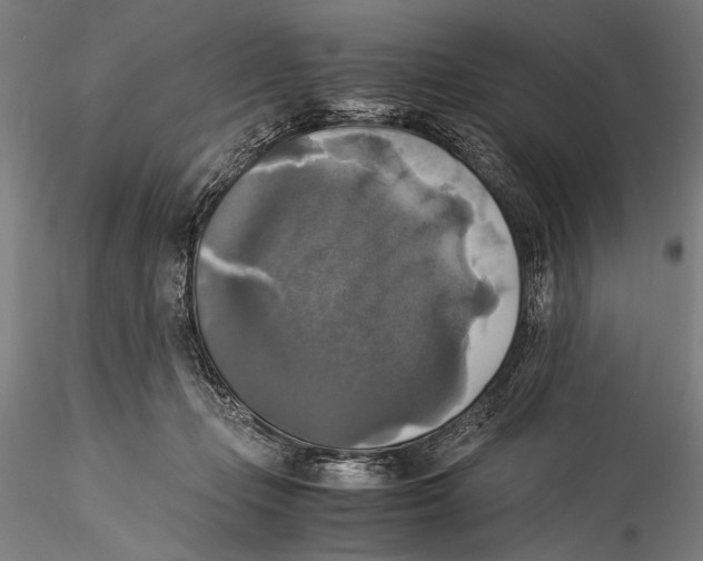 X0000115310365200911301541