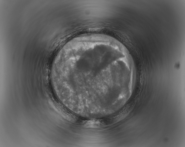 X0000115310366200911301541