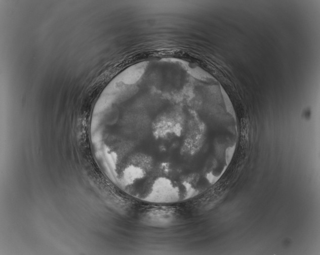 X0000115310369200911301541