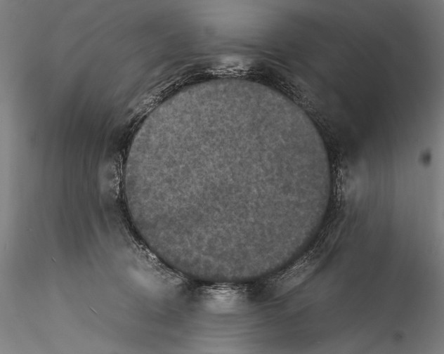 X0000115310370200911301541