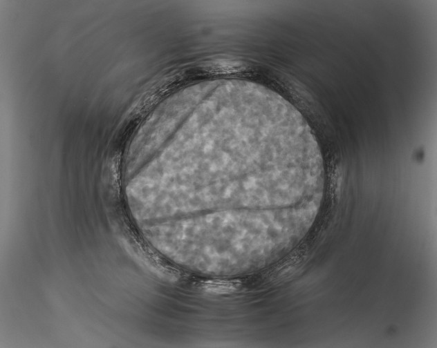 X0000115310373200911301541