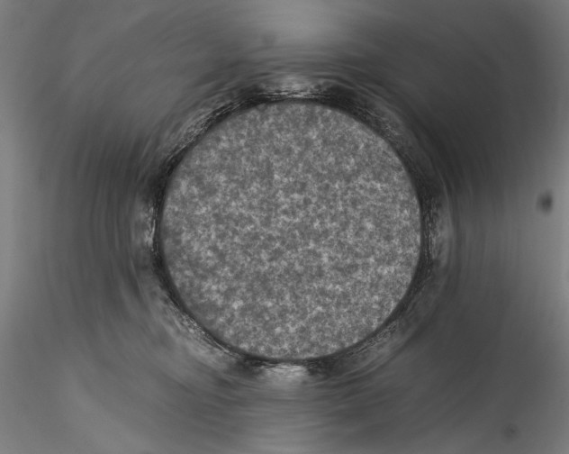 X0000115310374200911301541