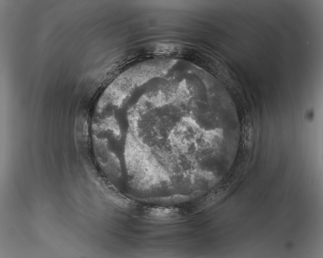 X0000115310375200911301541