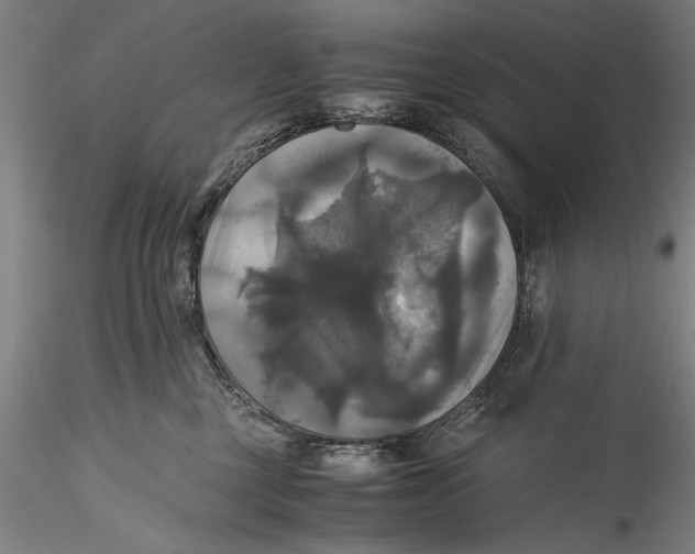 X0000115310377200911301541