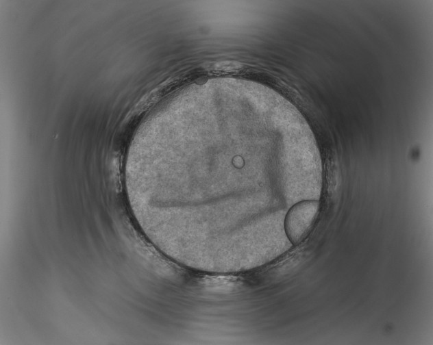 X0000115310378200911301541