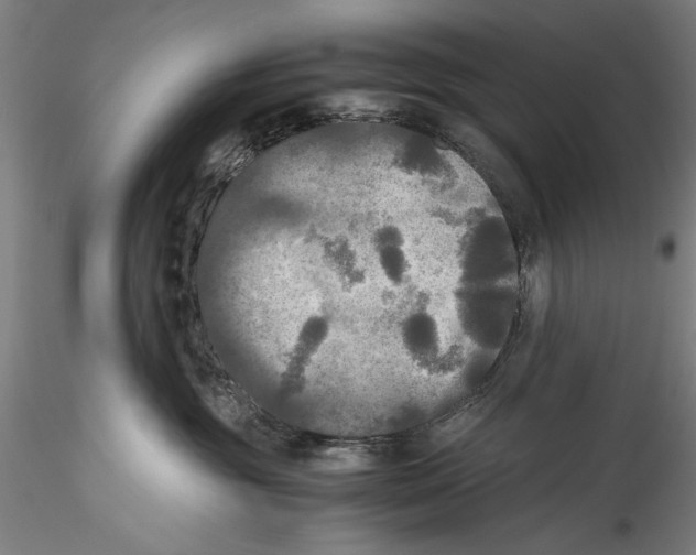 X0000115310381200911301541