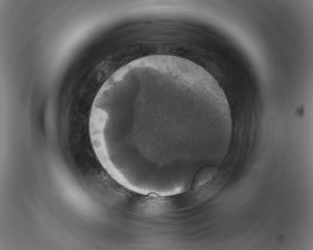 X0000115310383200911301541