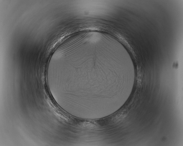 X0000115310386200911301540