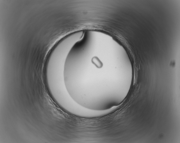 X0000115310387200911301540