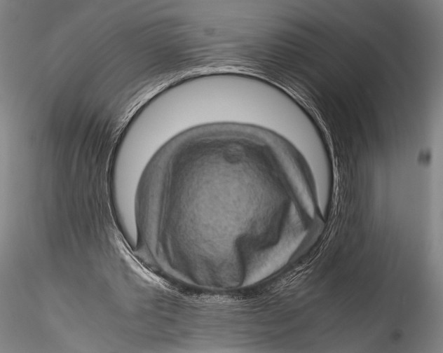 X0000115310389200911301540