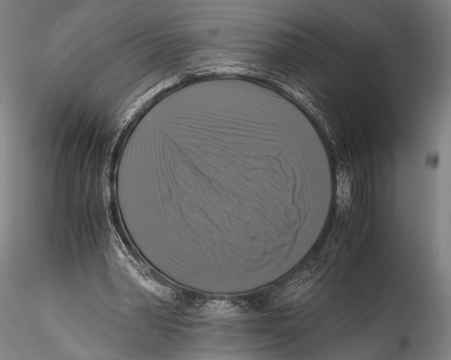 X0000115310390200911301540