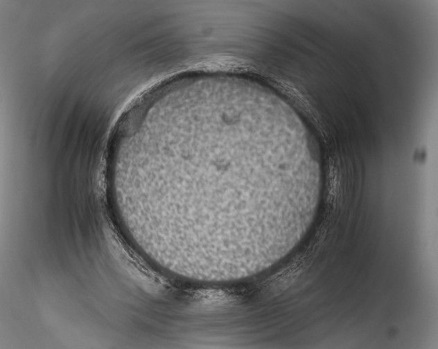 X0000115310392200911301540