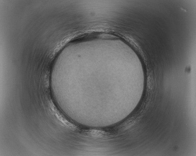 X0000115310393200911301540