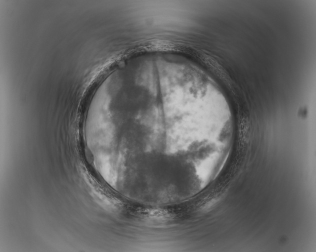 X0000115310395200911301540