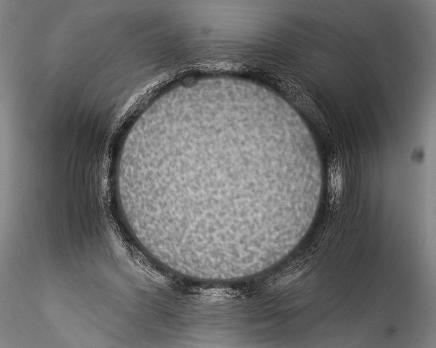 X0000115310396200911301540