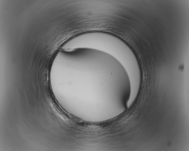 X0000115310397200911301540