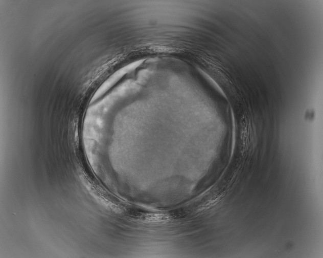 X0000115310398200911301540