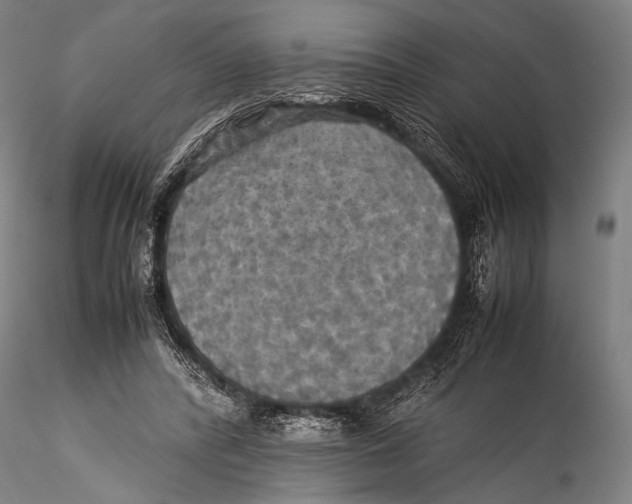 X0000115310400200911301540