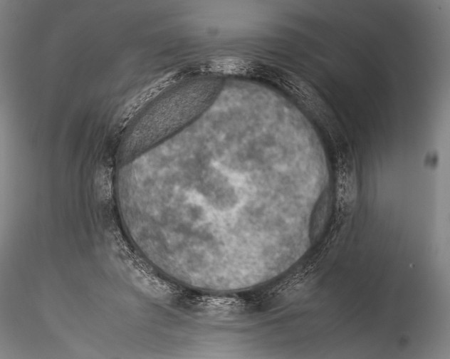 X0000115310401200911301540