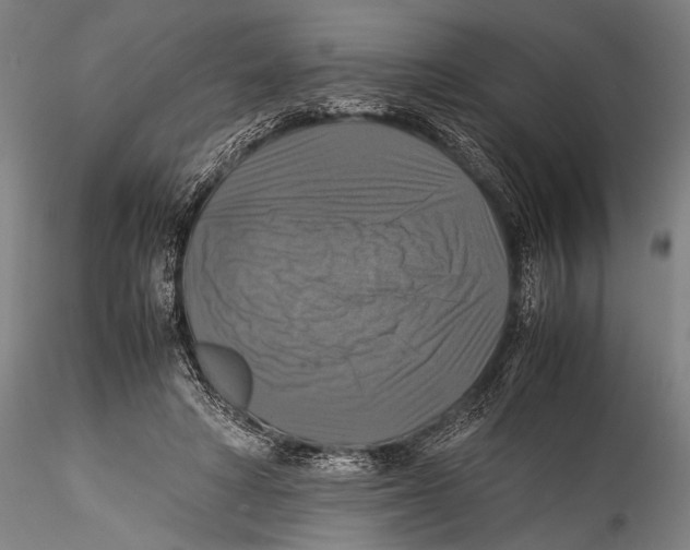 X0000115310402200911301540