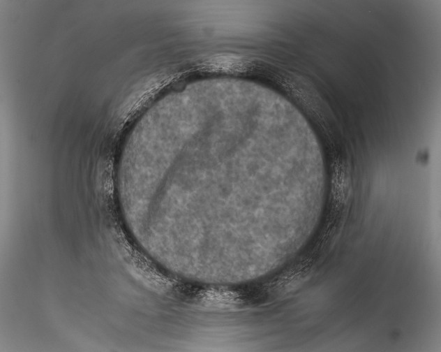 X0000115310403200911301540