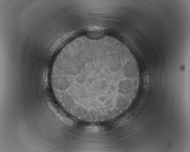 X0000115310404200911301540