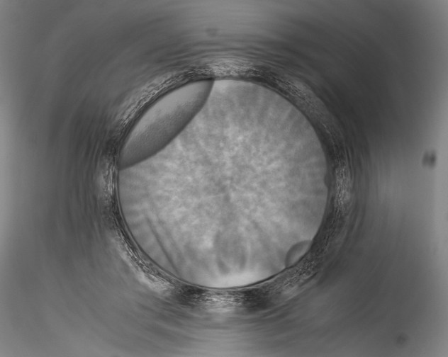 X0000115310405200911301540