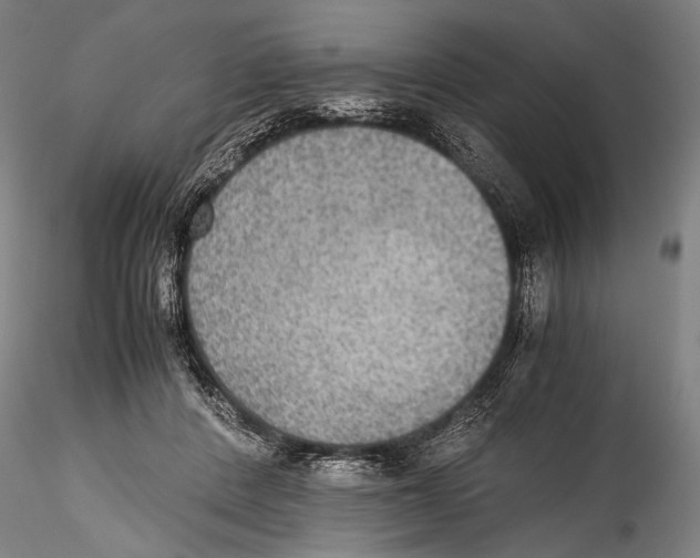 X0000115310408200911301540