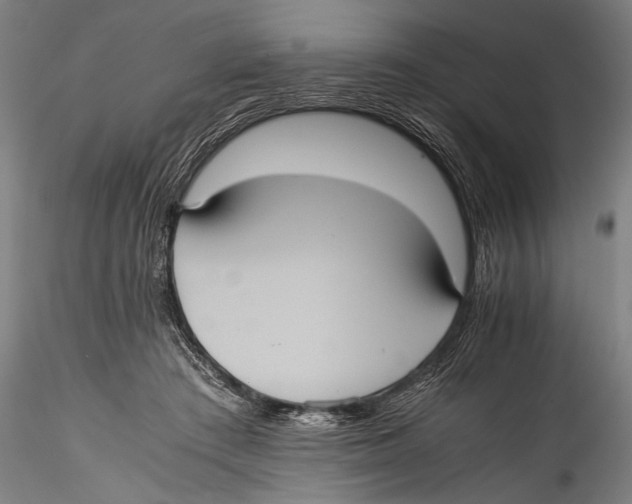 X0000115310409200911301540