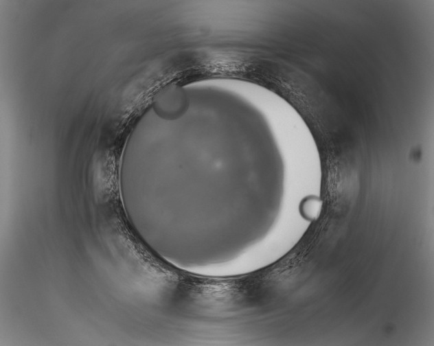 X0000115310411200911301540