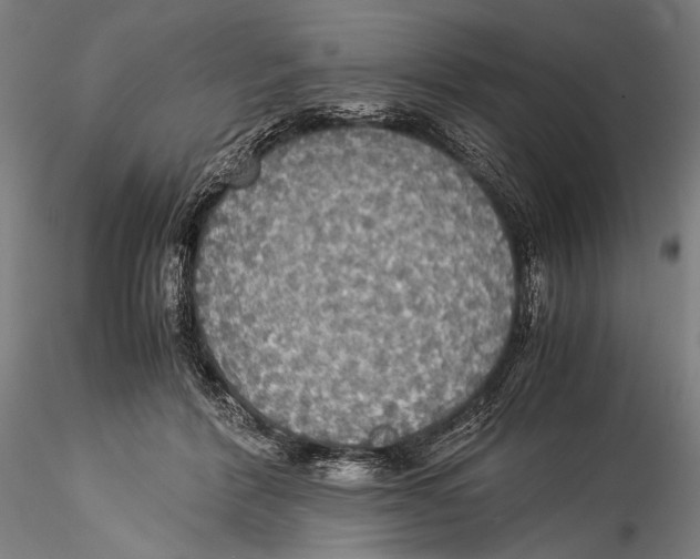 X0000115310412200911301540