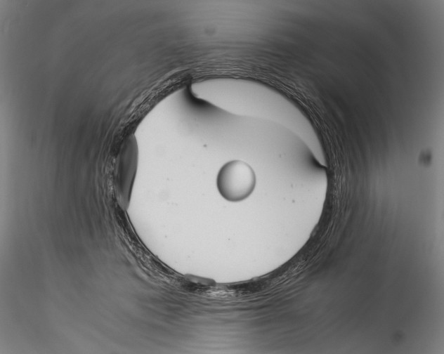 X0000115310413200911301540