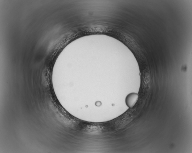 X0000115310414200911301540