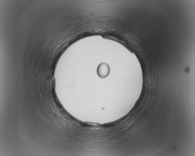 X0000115310415200911301540