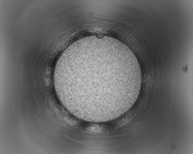 X0000115310416200911301540