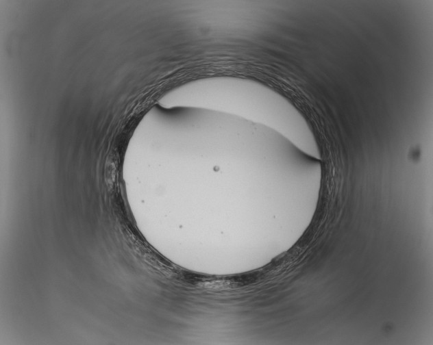 X0000115310417200911301540