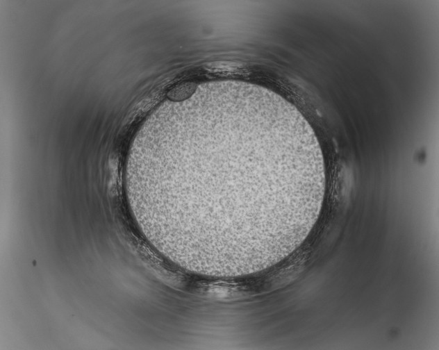 X0000115310420200911301540