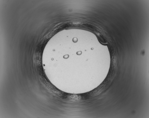 X0000115310421200911301540